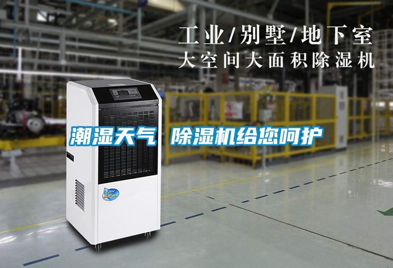 潮湿天气 樱桃TV在线观看机给您呵护